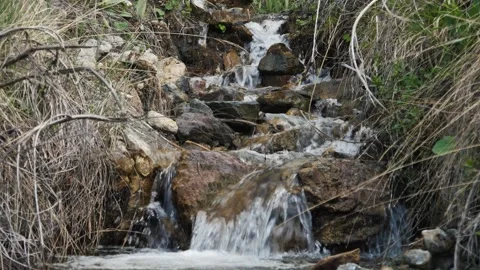 Stream water 4K video Stock Footage 241362052