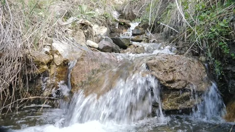 Stream water 4K video Stock Footage 241362112