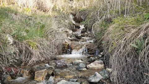 Stream water 4K video Stock Footage 241362153