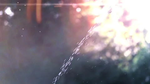 A stream of water against a sunset background Stock-Footage 103859285