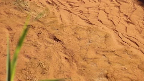Stream of water in Ain chouatar Video stock 125420336