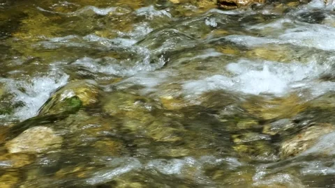 Stream of water and rocky bottom of the river. Stock Footage 159952753