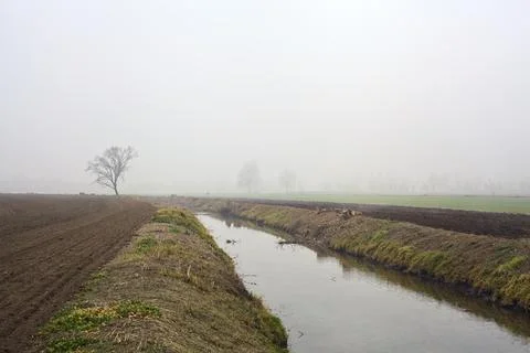 Stream of water between fields with trees covered by the fog in the italian.. Stock Photos