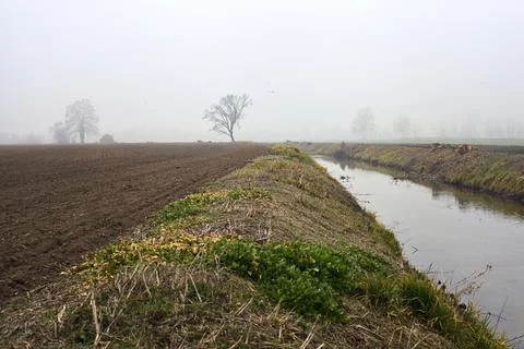 Stream of water between fields with trees covered by the fog in the italian.. Stock Photos