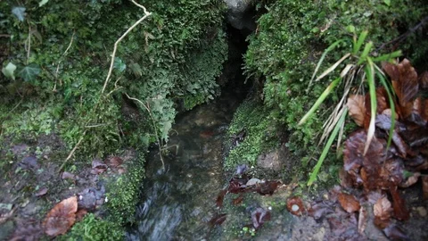 Stream of water between rocks, moss on stones Video stock 106111464