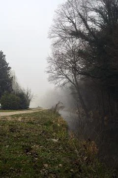 Stream of water that borders a forest next to a dirt path on a foggy day in.. Stock Photos