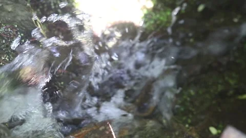 Stream of water in a brook Stock Footage 132721614