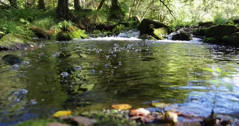 A stream of water with bubbles floating on top. Vídeos de archivo 318810201