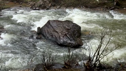 A Stream of water from the Cascade flowing in Coorg, India. Stock Footage 161681650