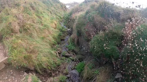 Stream of Water in Countryside Stock Footage 162424213