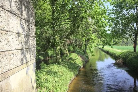 Stream of water in the countryside 写真素材