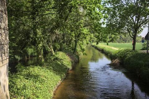 Stream of water in the countryside Stock Photos