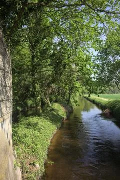 Stream of water in the countryside 写真素材