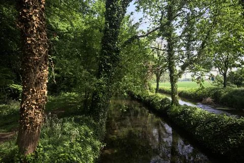 Stream of water in the countryside Stock Photos