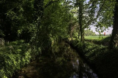 Stream of water in the countryside Stock Photos