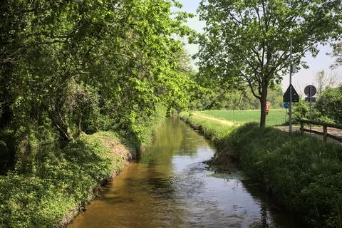 Stream of water in the countryside 写真素材