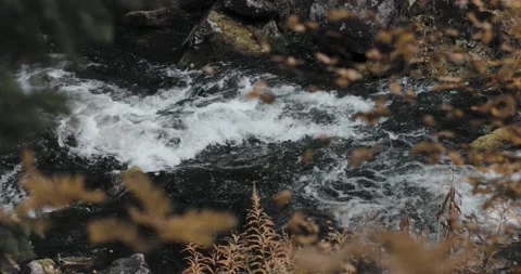 Stream of water in the fall in slowmotion Stock Footage 218982821