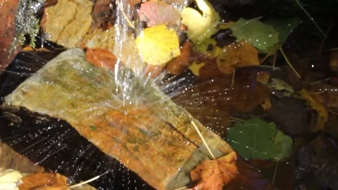 Stream Of Water Falling On A Rock Stock Footage 125702699