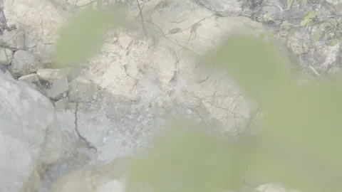 Stream water falling from a small stone 動画素材 304424847