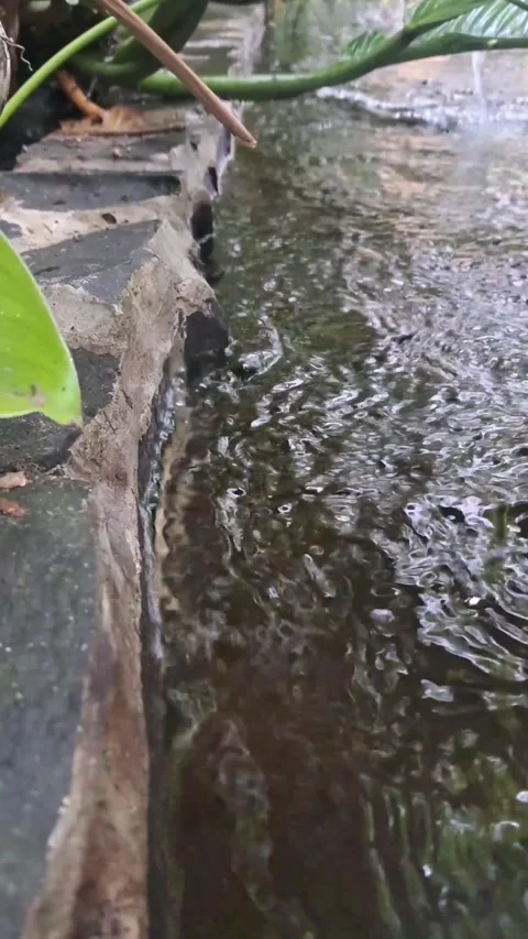 A stream of water flowing along the edge of a rock Stock Footage 307037488