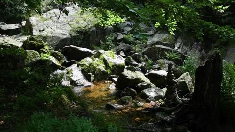 Stream water flowing between rocks Stock Footage 245505665