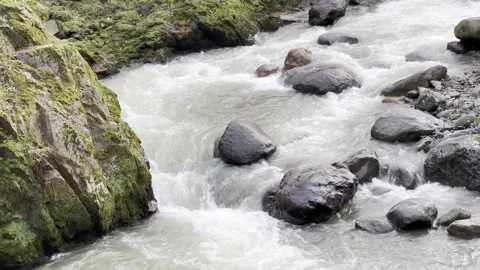 A stream of water is flowing between rocks Stock Footage 296182804