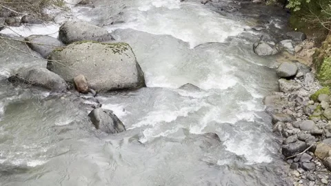 A stream of water is flowing between rocks Stock Footage 296182868