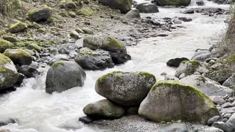 A stream of water is flowing between rocks Stock Footage 296182875
