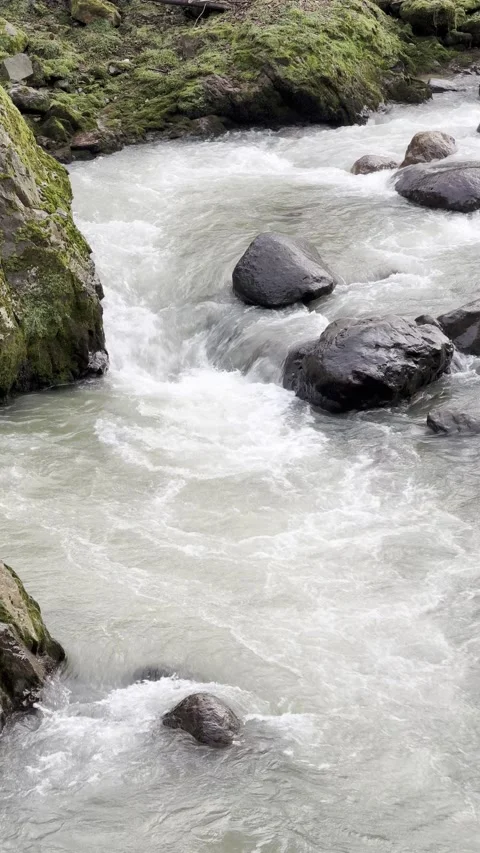 A stream of water is flowing between rocks Stock Footage 296182889