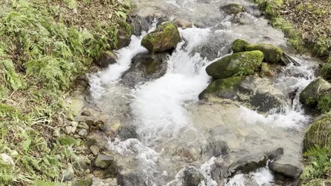 A stream of water is flowing between rocks Stock Footage 296183067