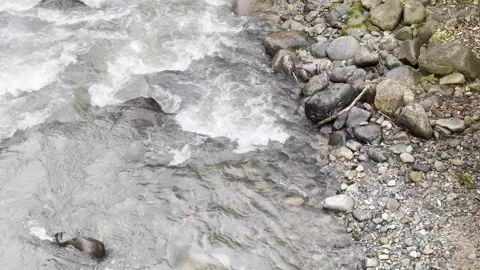 A stream of water is flowing between rocks Stock Footage 296183078