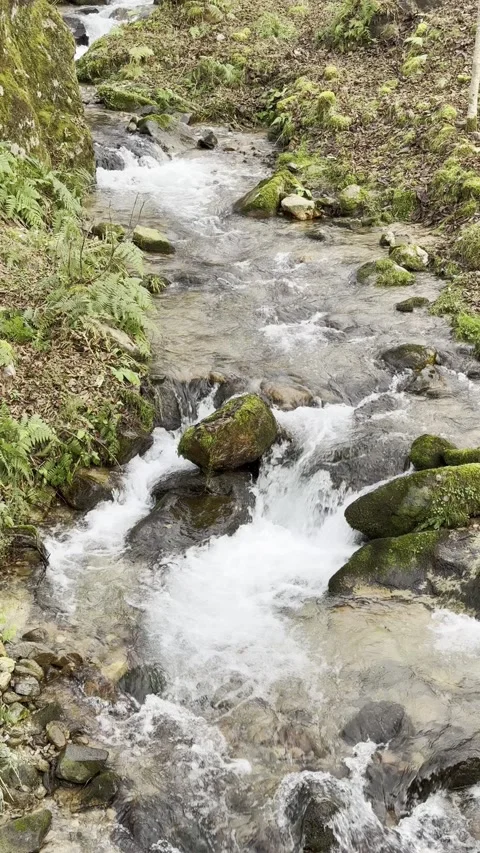 A stream of water is flowing between rocks Stock Footage 296183080
