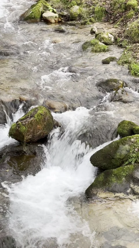 A stream of water is flowing between rocks Stock Footage 296183096