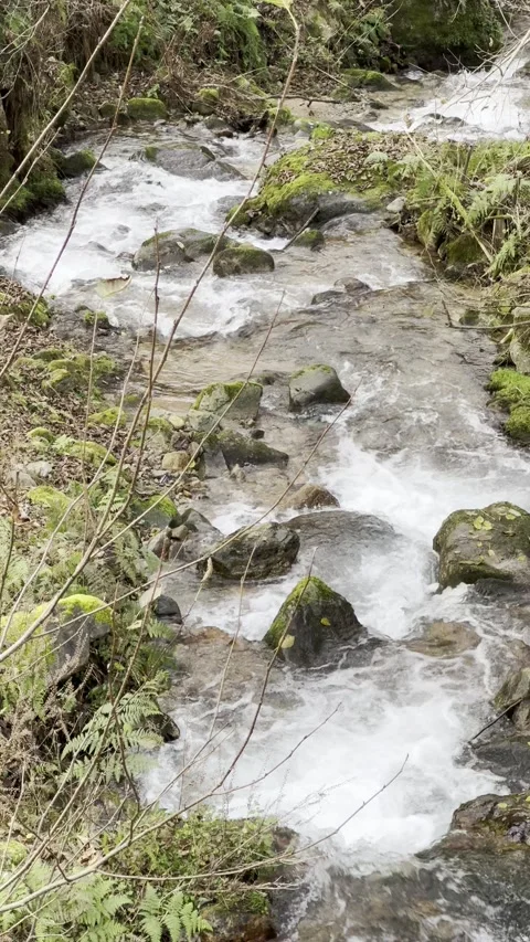 A stream of water is flowing between rocks Stock Footage 296183173