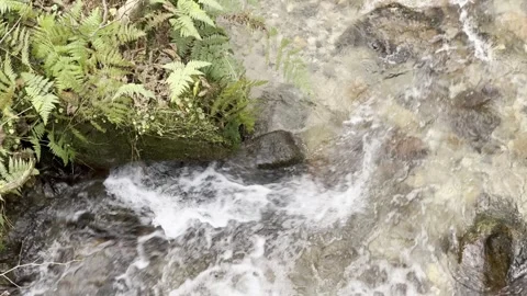A stream of water is flowing between rocks Stock Footage 296183180