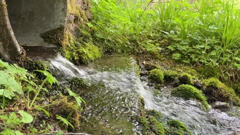 Stream water flowing from concrete pipe and over mossy rocks 库存影片 337197919