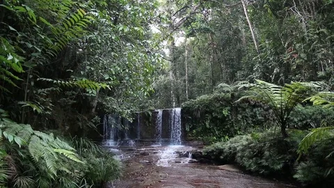 Stream water flowing down in the forest, Malaysia Stock Footage 95349964