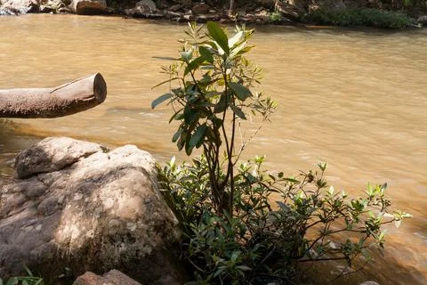 Stream of water flowing down from the Indaia waterfall Stock Photos