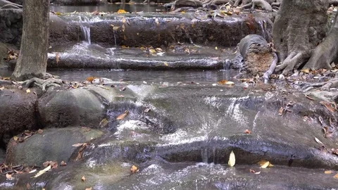 A Stream of Water Flowing down Several Tiers of Rocks in the Jungle Stock Footage 74291125