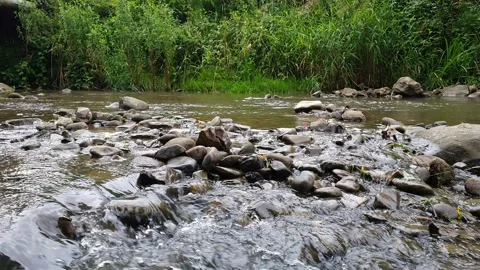 Stream Water Flowing Fast Over Rocks into a Calmer River Section Stock Footage 340051325