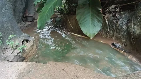 Stream of water flowing in the garden. Stock Footage 141978956