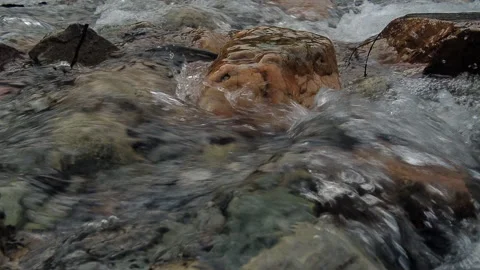 Stream water is flowing into  Lake Vídeos de archivo 272721082