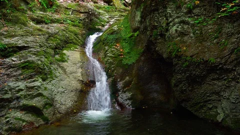 Stream water flowing into a natural pool in summer forest in Carpathian mount Stock Footage 117405601