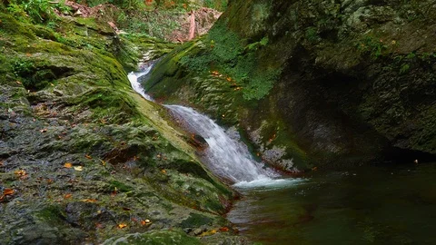 Stream water flowing into a natural pool in summer forest in Carpathian mount Stock Footage 117601349