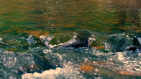 Stream water flowing over rocks Stock Footage 93679117
