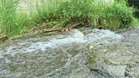 Stream Water Flowing Over the Rocks Stock-Footage 140346698