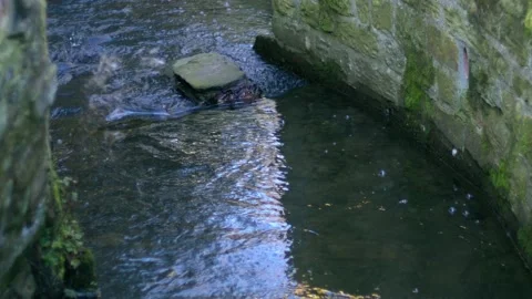 Stream of water flowing over rocks Stock Footage 229616589