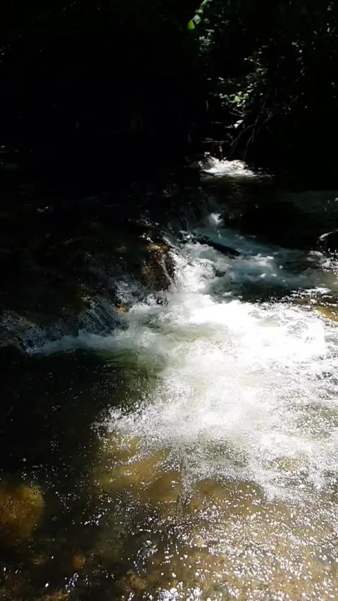 Stream water flowing over rocks Stock Footage 245968709