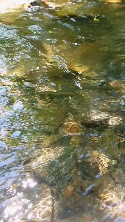 Stream water flowing over rocks Video stock 245969065