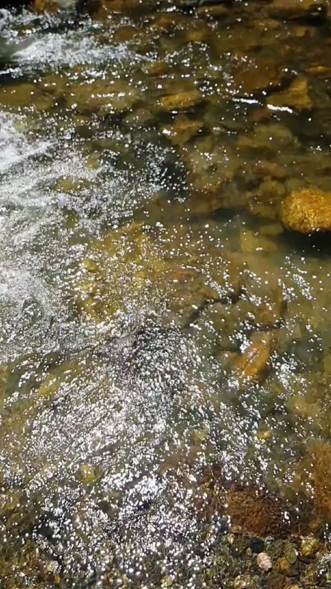 Stream water flowing over rocks Video stock 245969090